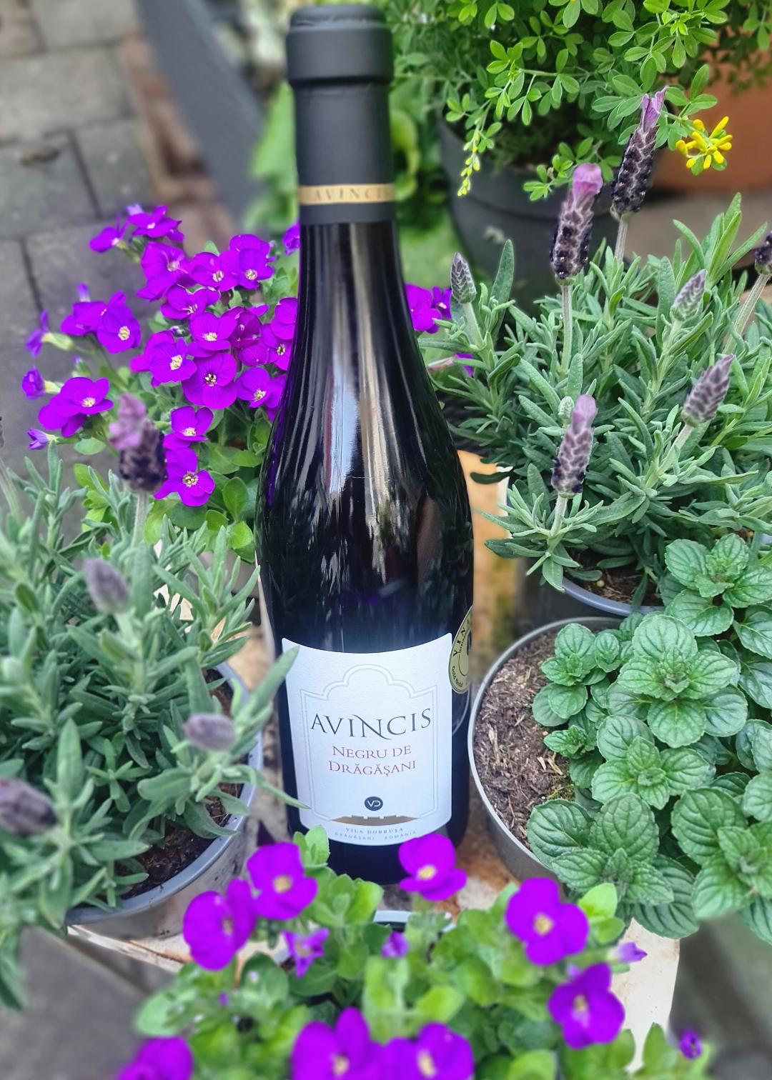 Roemenië : Negru de Drăgăşani Avincis € 32.50